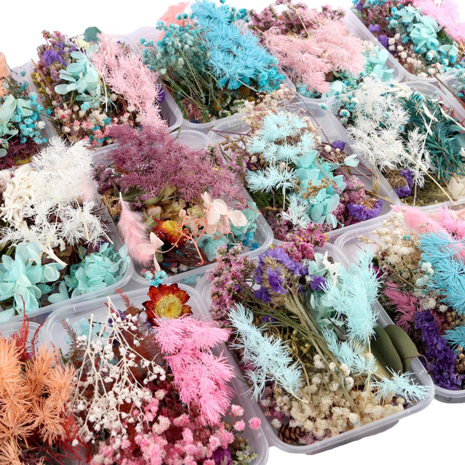 Boxes Real Dried Flowers Epoxy Resin Dry Plants Pendant For Aromatherapy Candle Necklace Jewelry Making Craft DIY Accessories