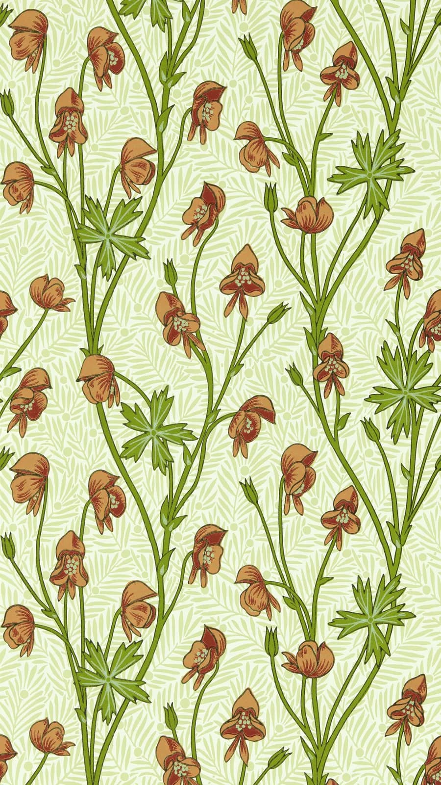 Monkshood Tangerine/Sage