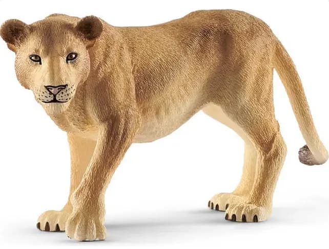 H14825 - wl LIONESS 5