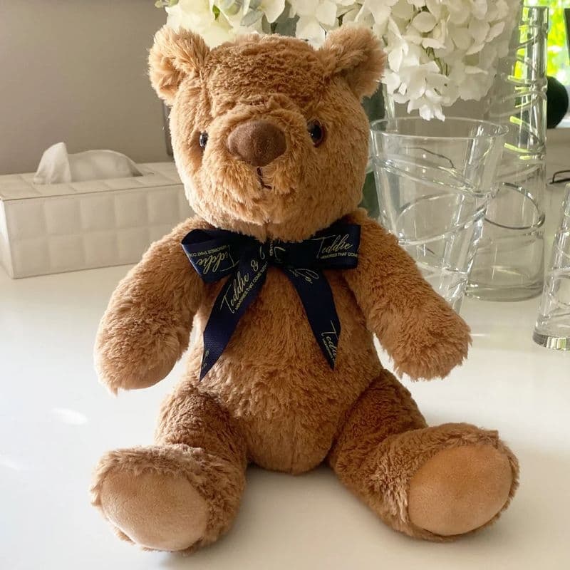 Personalised Record- A-Voice Brown Teddy Bear - Gift Bag