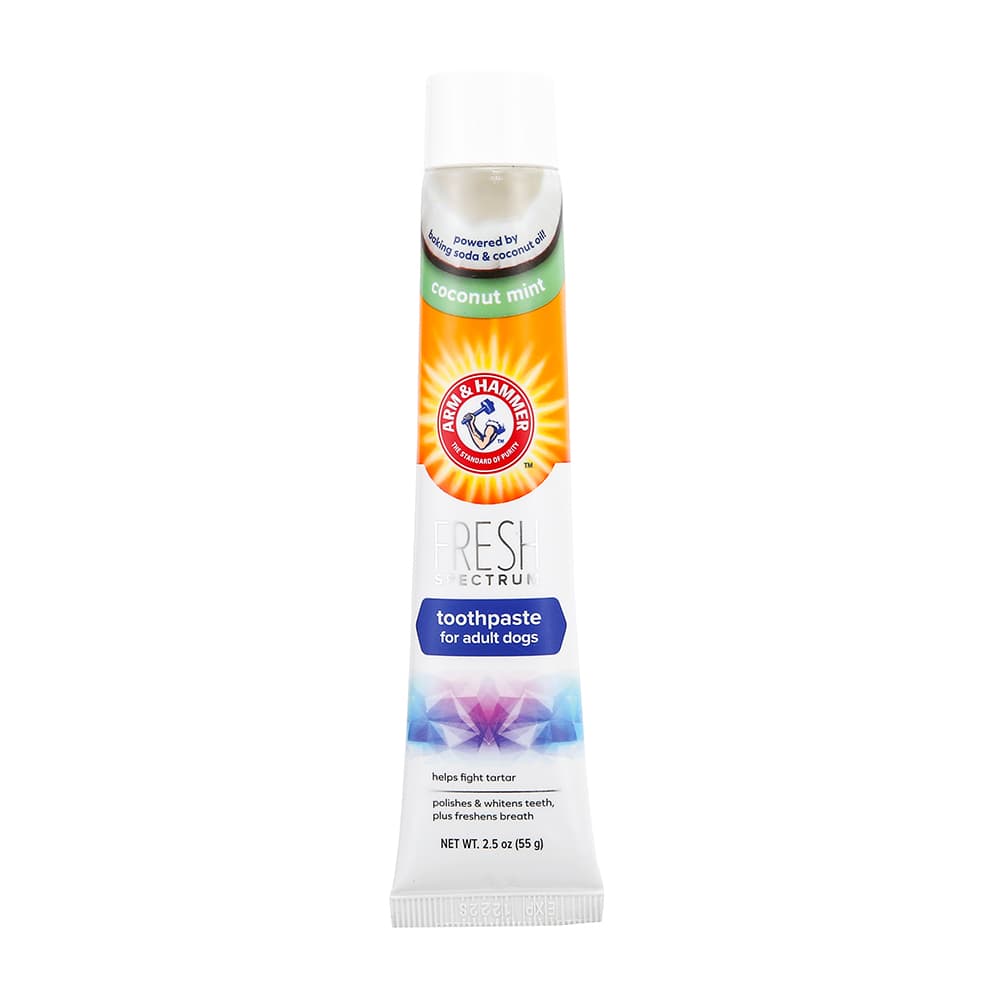 Arm & Hammer Dental Care Set with Toothbrush & Toothpaste - Toothpaste (55g)